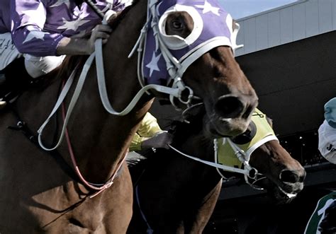 railway stakes tips